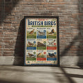 Rare British Birds Poster, UK Wildlife Wall Art, Birdwatching Gift, Nature Print