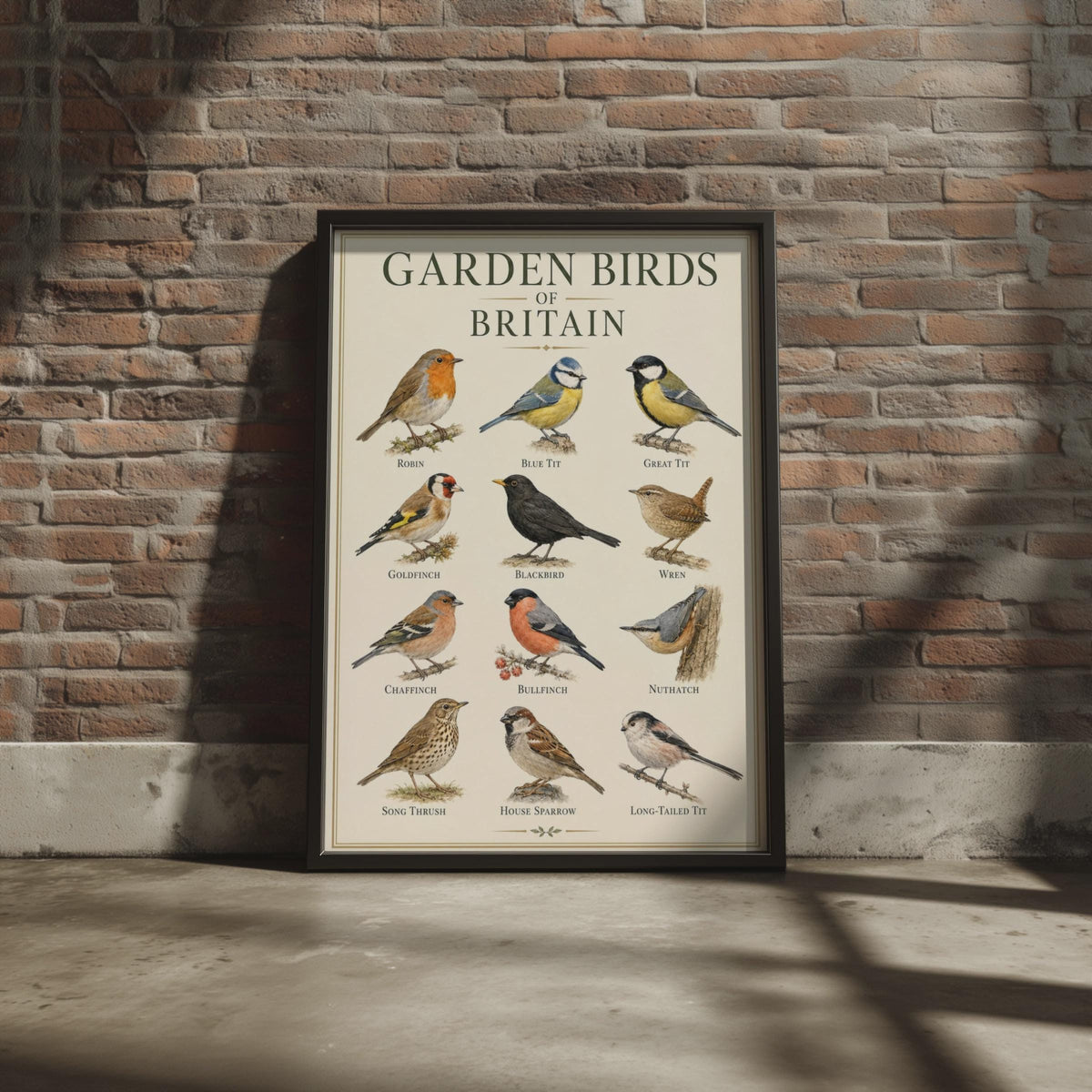 British Garden Birds Identification Chart, Wildlife Wall Art Print
