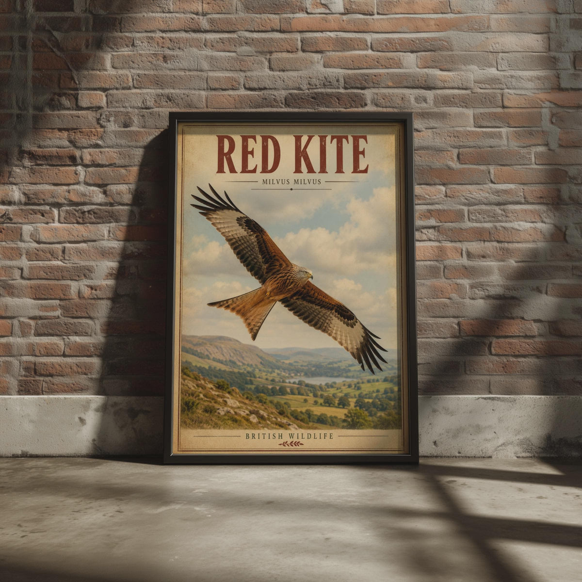 Red Kite Print, Milvus Milvus Bird Art, Vintage British Wildlife Poster