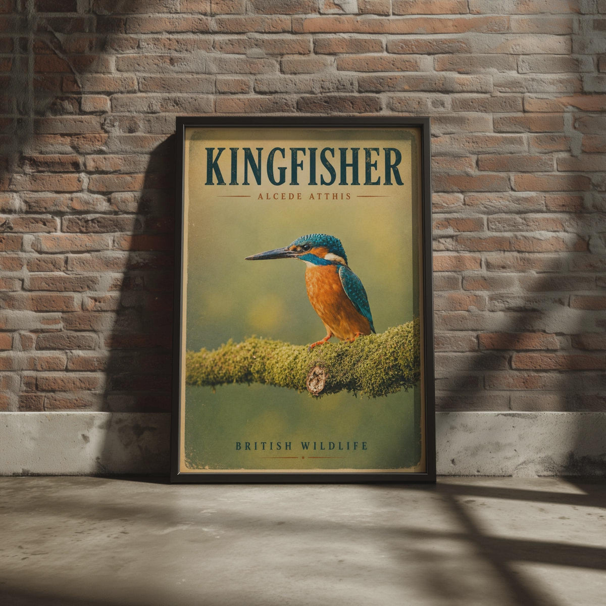 Kingfisher Poster, British Wildlife Wall Art, Vintage Bird Print, Nature Lover Gift