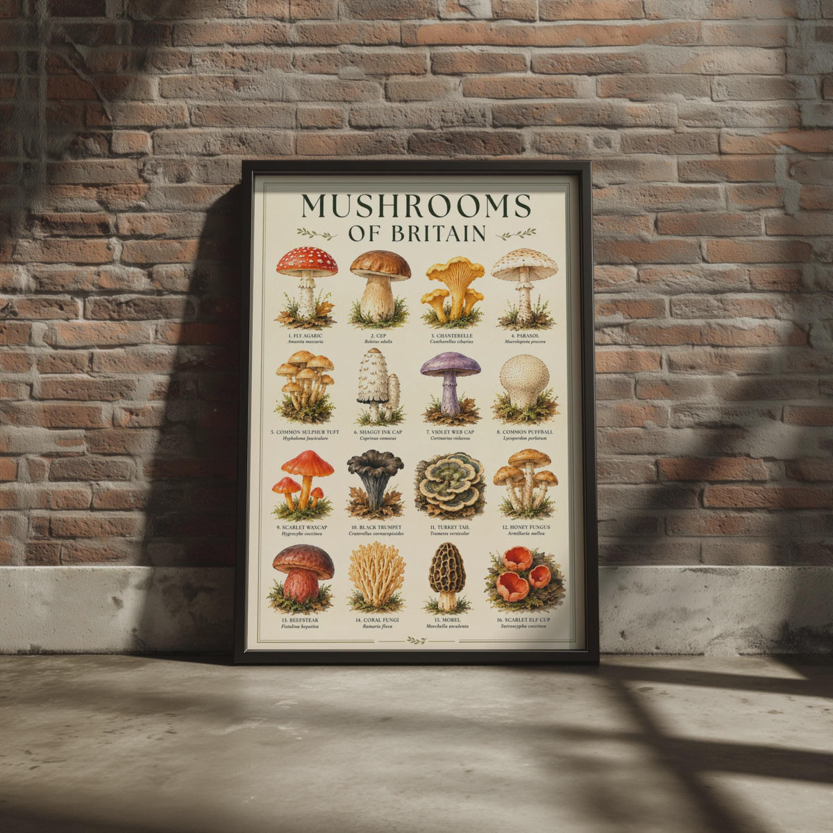 Mushrooms of Britain Watercolour Poster, Botanical Fungi Wall Art Print