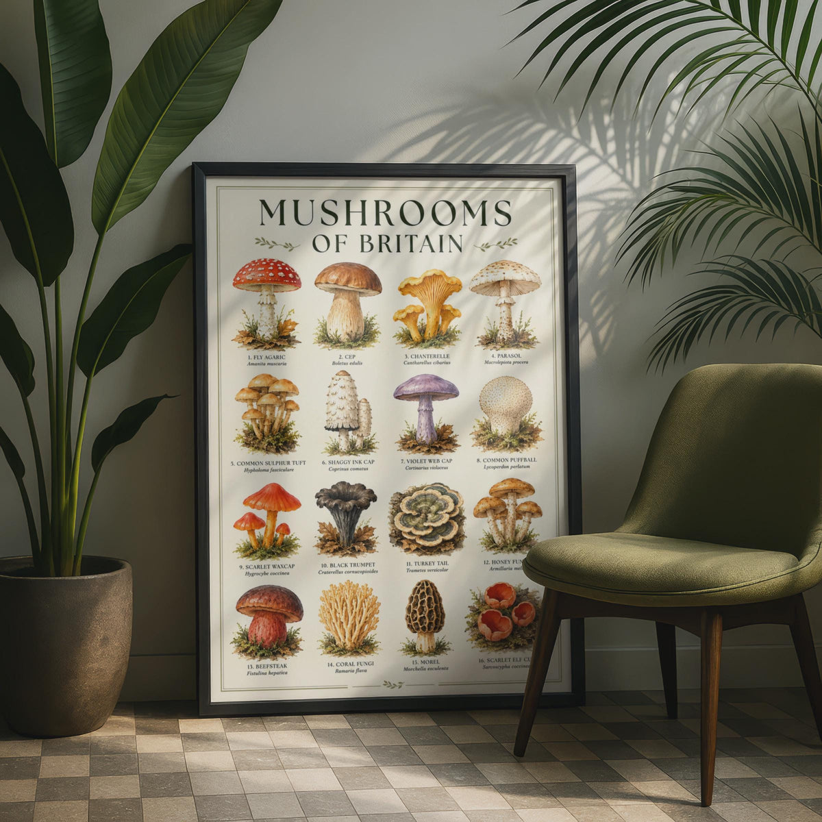 Mushrooms of Britain Watercolour Poster, Botanical Fungi Wall Art Print