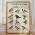 British Garden Birds Identification Chart, Wildlife Wall Art Print
