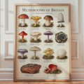 British Woodland Mushrooms Chart, Watercolour Fungi Illustration, Nature Wall Art Print