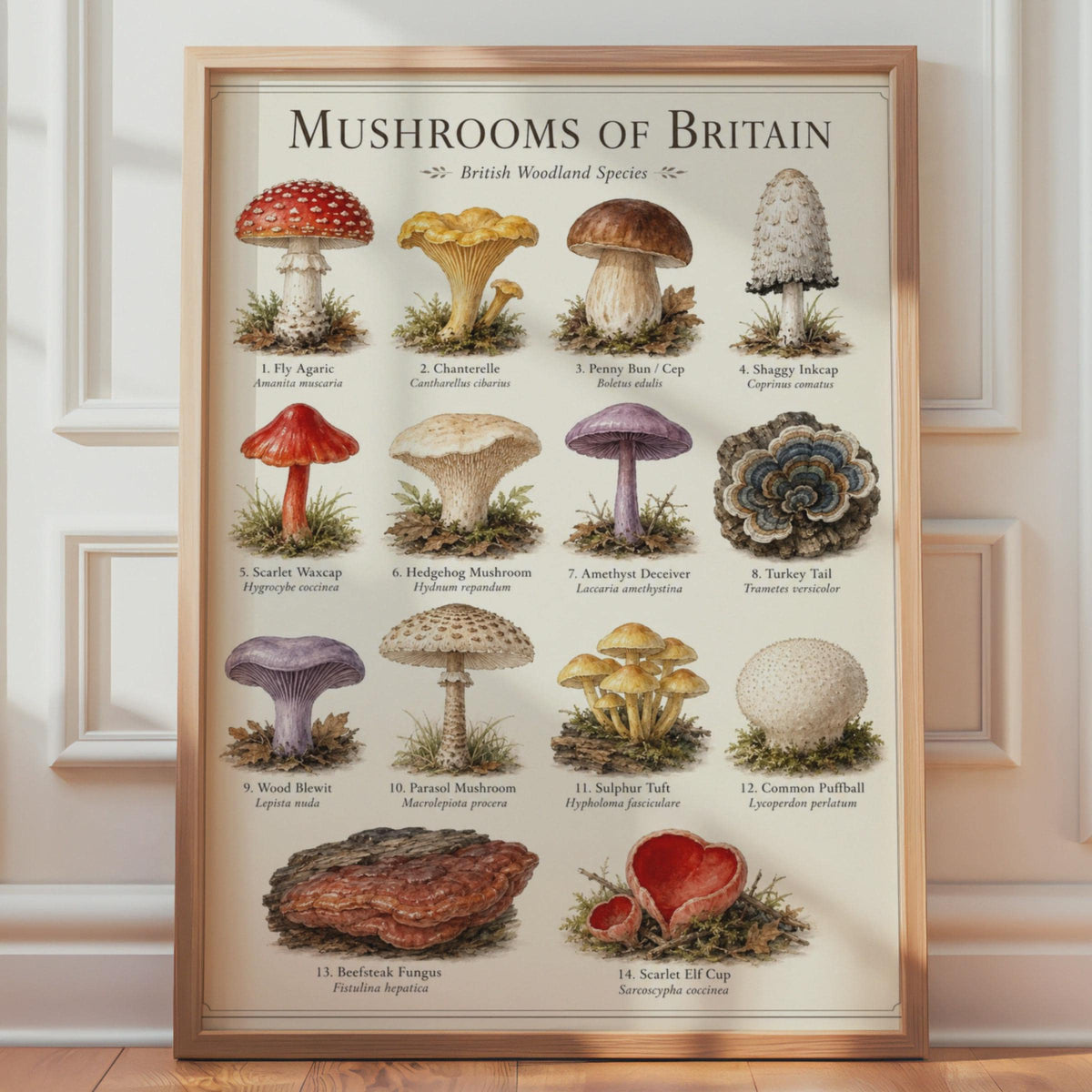 British Woodland Mushrooms Chart, Watercolour Fungi Illustration, Nature Wall Art Print