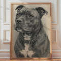 Staffordshire Bull Terrier Graphite Sketch Print, Black Grey Dog Portrait Print