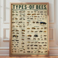 Bee Species Identification Chart Poster, Entomology Wall Art Print (Physical)