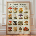 Mushrooms of Britain Watercolour Poster, Botanical Fungi Wall Art Print