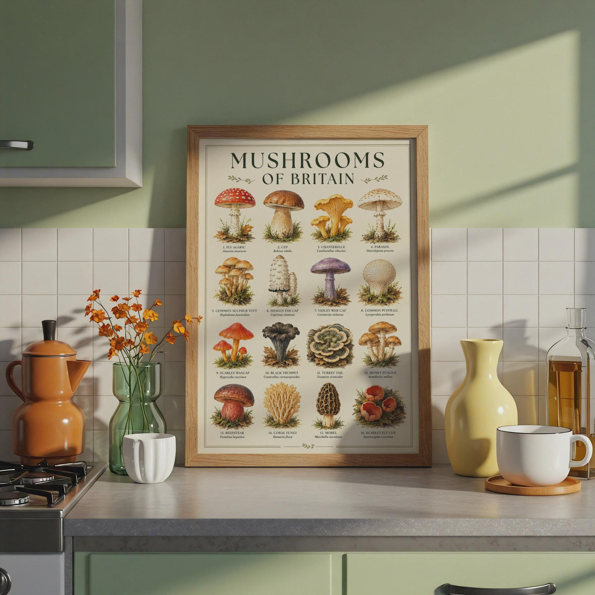 Mushrooms of Britain Watercolour Poster, Botanical Fungi Wall Art Print