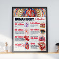 Human Body in Numbers Anatomy Poster, Medical Wall Art, Biology Classroom Print, Science Facts