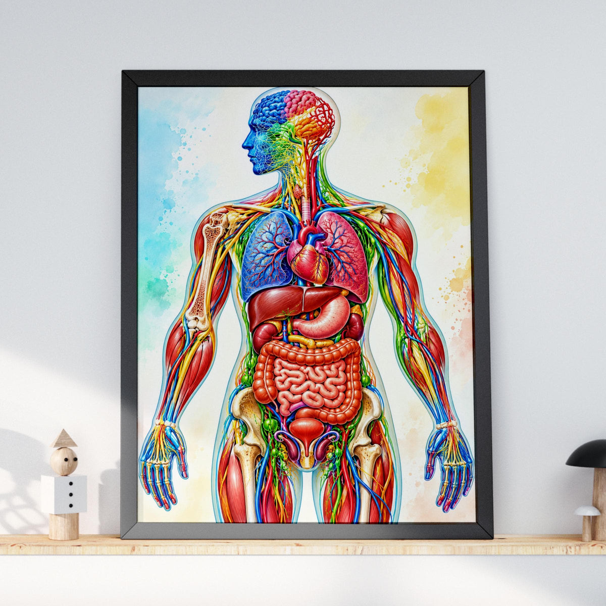 Human Anatomy Poster, Colourful Watercolour Medical Wall Art, Organs Muscles Bones Educational Print