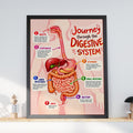 Digestive System Poster, Human Anatomy Educational Wall Art, Biology Classroom Chart, Science Print