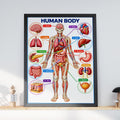Human Body Anatomy Poster, Educational Organs Chart, Classroom Science Wall Art, Biology Print