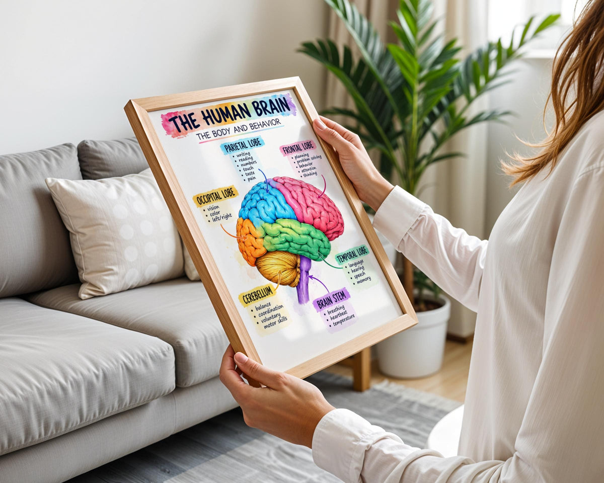 Human Brain Anatomy Poster, Colourful Educational Wall Art, Neuroscience Print, Classroom